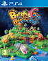 Birthdays the Beginning Game