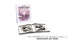 The Caligula Effect 2 - Limited Edition - PS4®