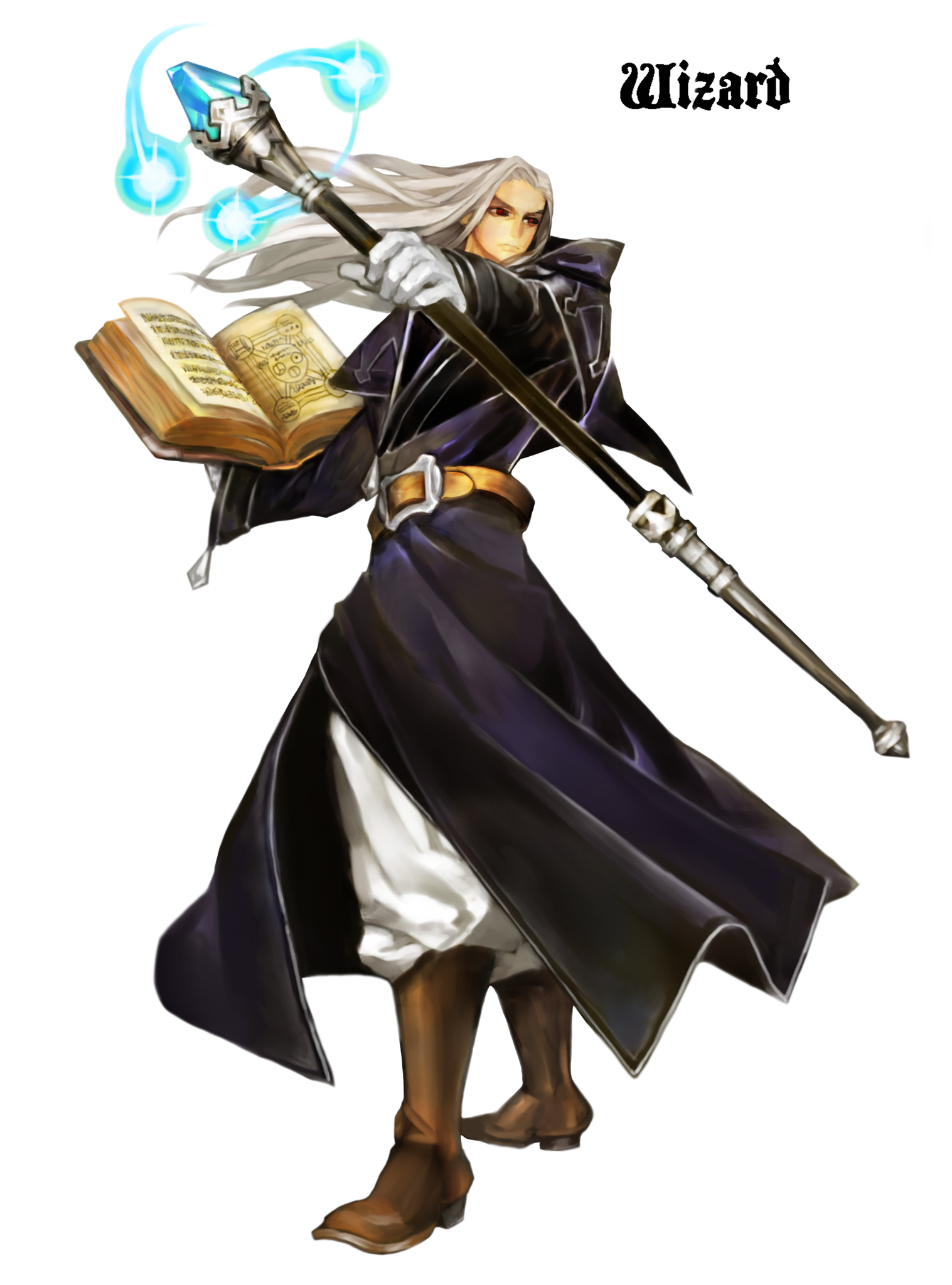 Dragons Crown Wizard